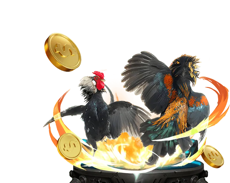 Đá gà tre j88vip2